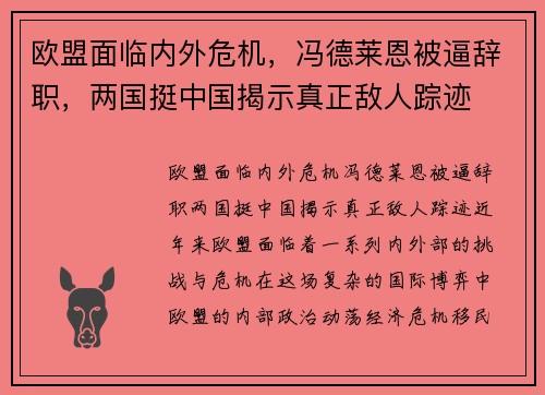 欧盟面临内外危机，冯德莱恩被逼辞职，两国挺中国揭示真正敌人踪迹