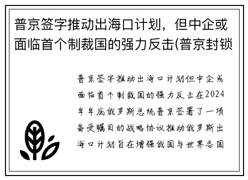 普京签字推动出海口计划，但中企或面临首个制裁国的强力反击(普京封锁海峡)