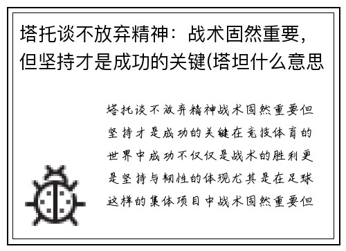 塔托谈不放弃精神：战术固然重要，但坚持才是成功的关键(塔坦什么意思)